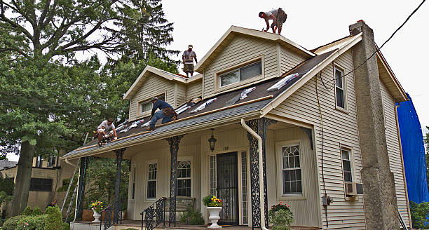 Best Gutter Installation and Roofing  in Madison, GA